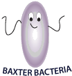 Baxter Bacteria